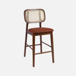 Barkruk van walnootkleurig hout en rotan 66,5 cm (set van 2)