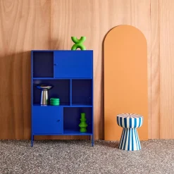 Boekenkast met 6 vakken en 2 deurtjes van metaal, industrieel