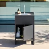 Buitenkeuken module gootsteen en 1 deur van staal L60cm