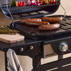 Elektrische barbecue 2 branders, geëmailleerd staal 2300 W