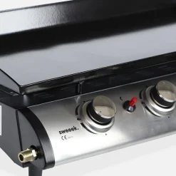 Gasbakplaat 4 branders roestvrij staal 10kW met kookgerei