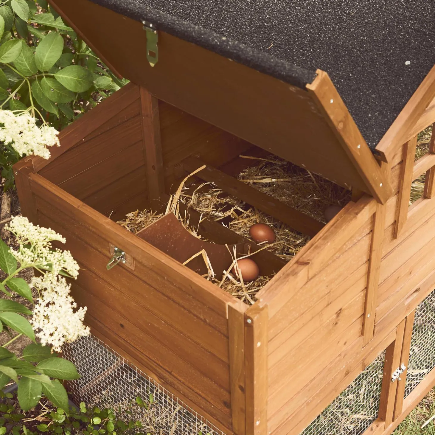 Houten kippenhok met ren voor 4 kippen