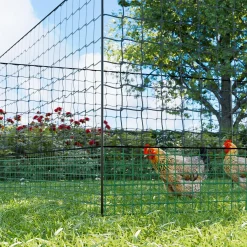 Kippennet met piketten