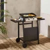 Plancha gas 2 branders roestvrij staal 5kW met trolley