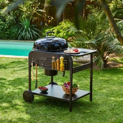 Ronde houtskoolbarbecue Ø53cm met kar staal
