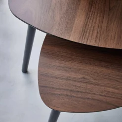 Salontafel, set van 2
