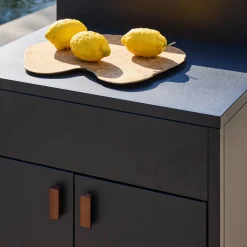 Stalen buitenkeukenmodule met 2 deuren L80cm