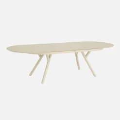 Uitschuifbare ovale tuintafel van aluminium en 8 stoelen