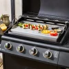 Universele bakplaat voor barbecue, 55cm